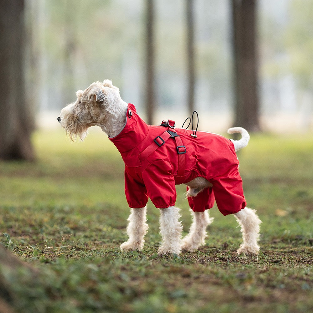Red four-legged dog rain suit outdoor walking hiking for dogs