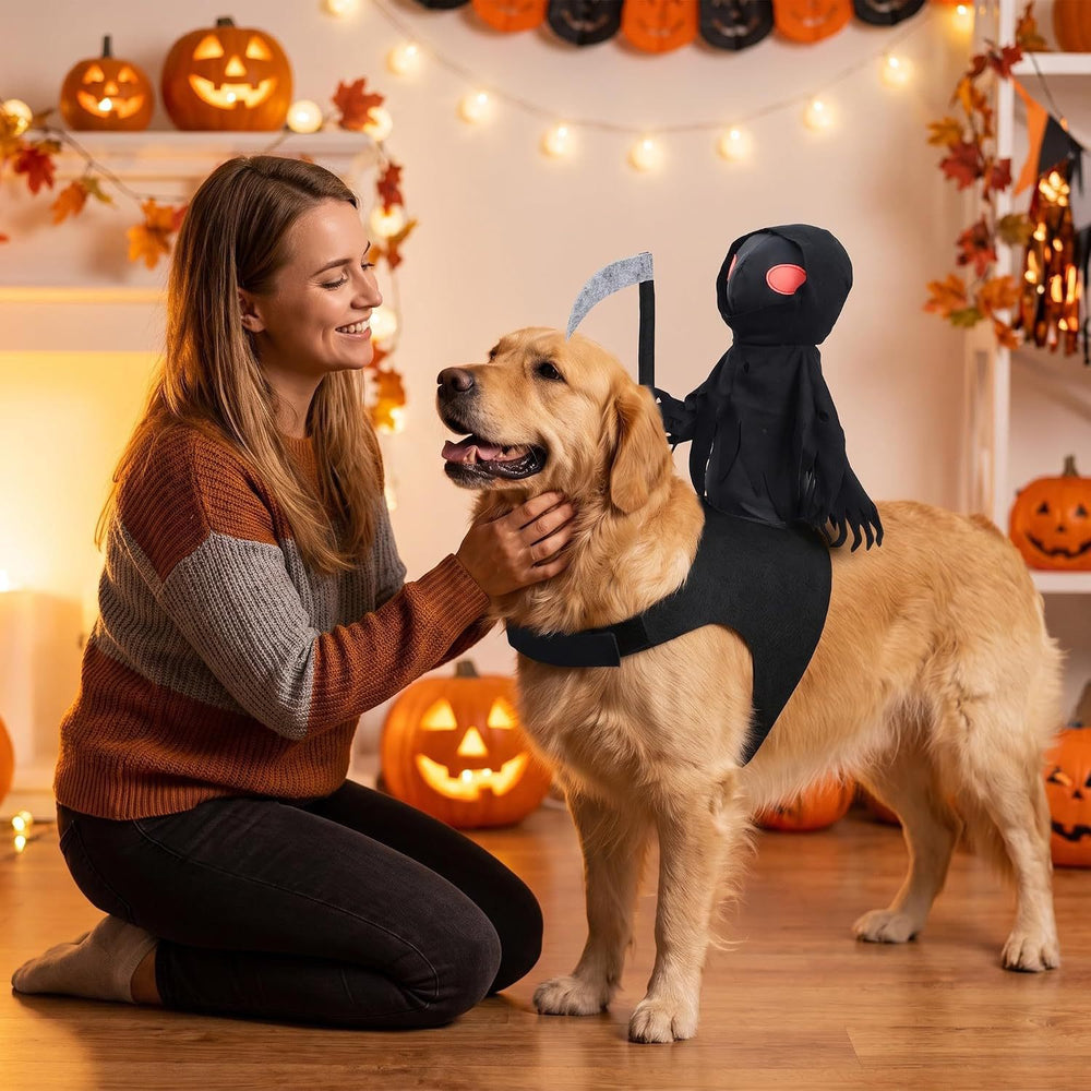 Lifestyle photo of golden retriever wearing Grim Reaper Halloween pet costume, pumpkin and festive home decor