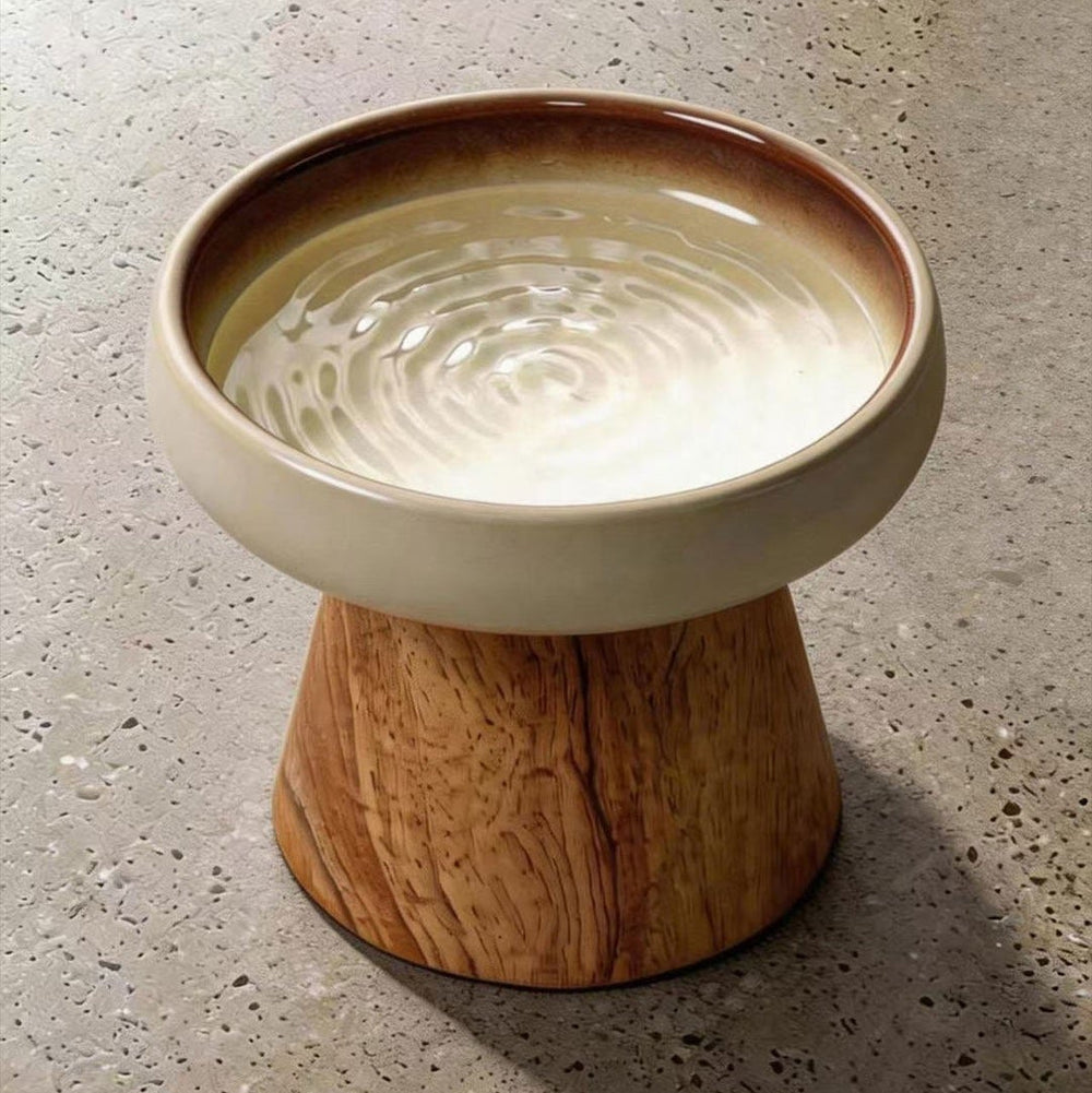 Single elevated ceramic cat water bowl with solid wood tapered base, filled with fresh water.