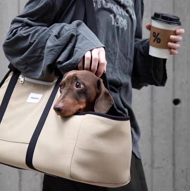 Extended Pet Carrier Tote Bag, Small Dog Peeking Out While Traveling