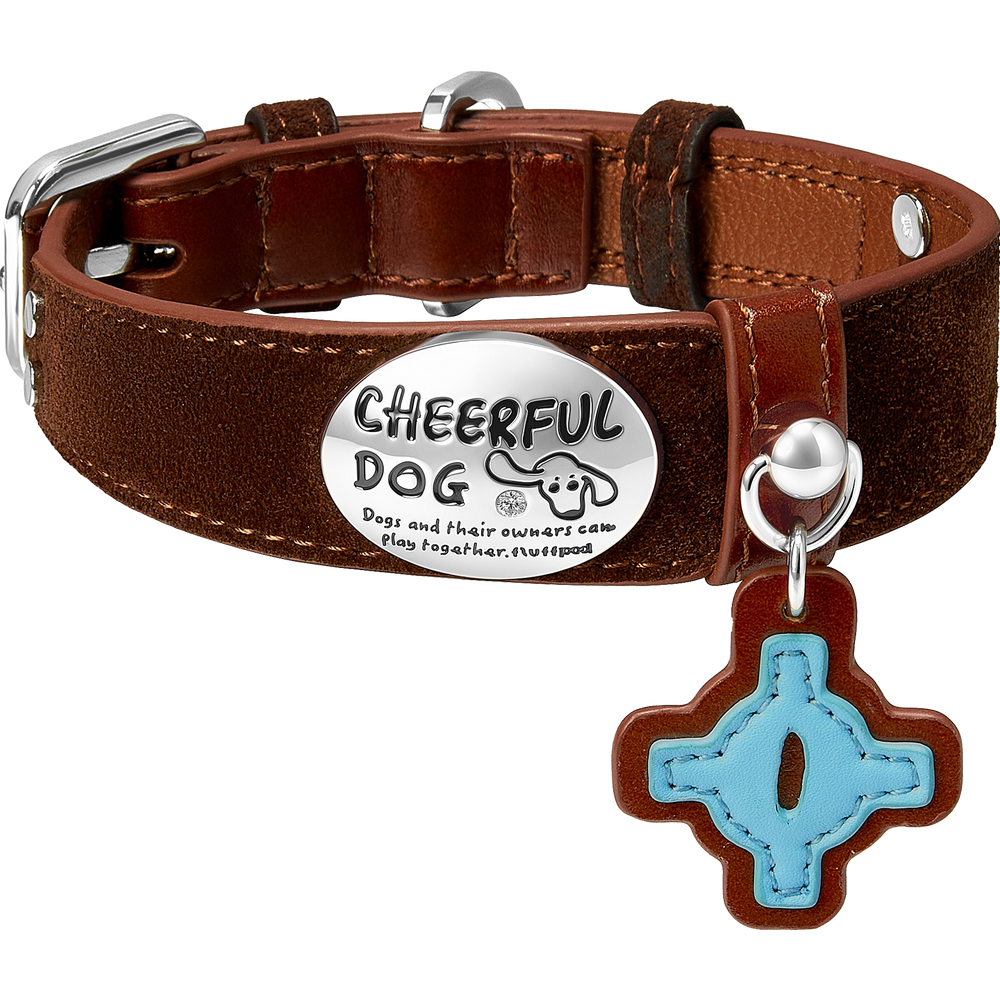 genuine-leather-dog-collar-leash-dark-brown-white-bg, Dark brown genuine leather dog collar and leash set with premium metal hardware, white background product photo