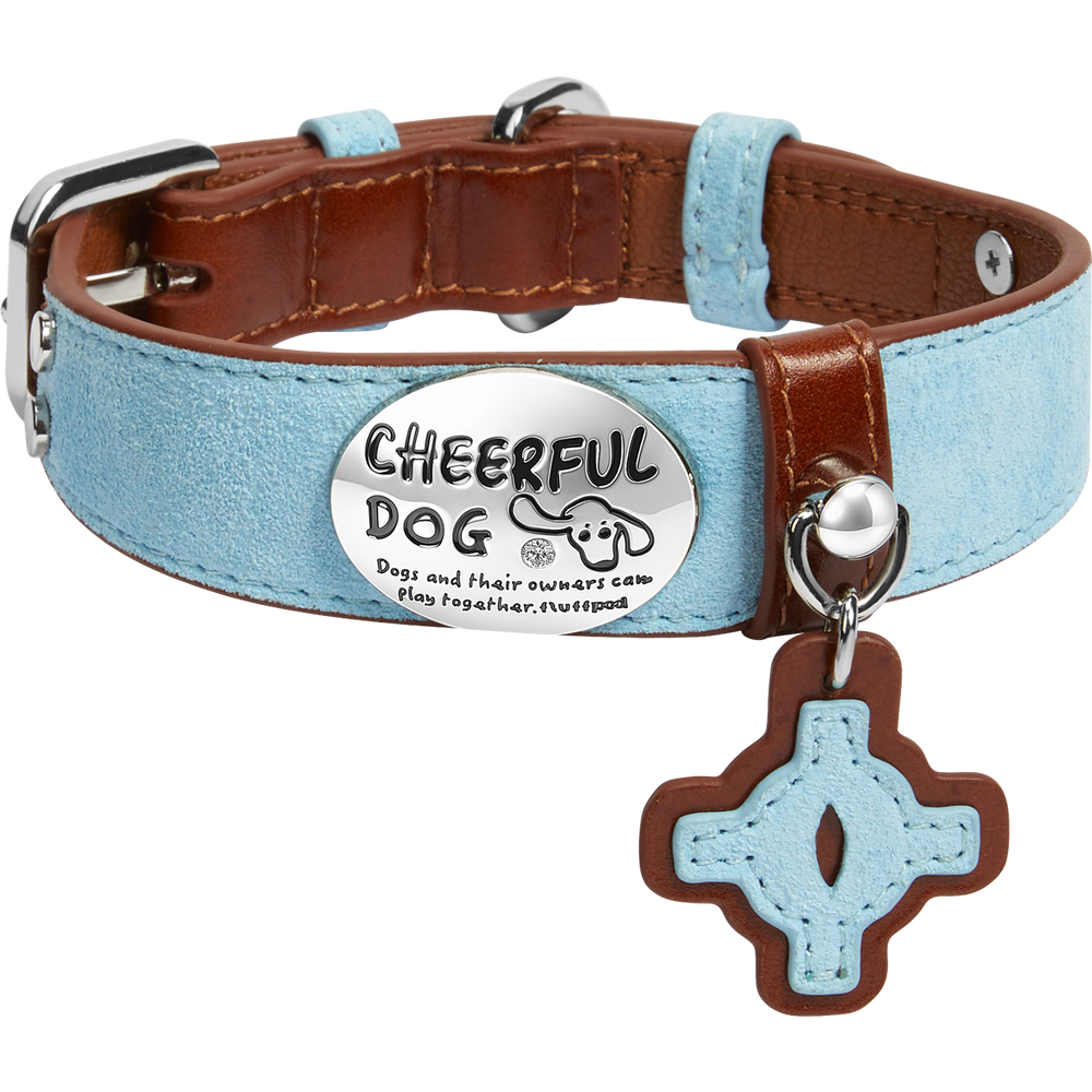 1. ` genuine-leather-dog-collar-leash-sky-blue-white-bg, Sky blue genuine leather dog collar and leash set with premium metal hardware, clean white background product shot`
2.