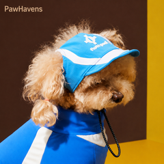 Glacier blue dog baseball cap, cute curly dog wearing adjustable pet sun hat with ear holes, outdoor pet UV protection hat