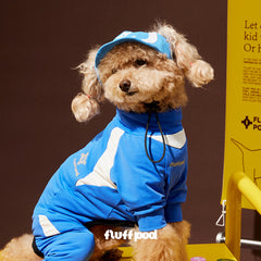 Cute terrier dog wearing glacier blue adjustable baseball sun hat with ear cutouts, dark studio background