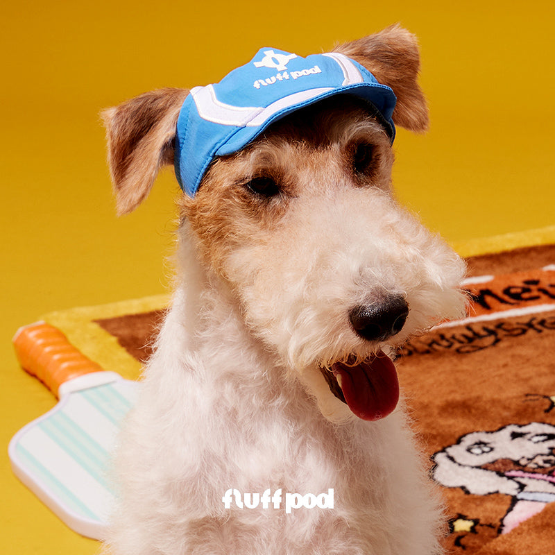 Close-up profile of dog wearing glacier blue pet baseball sun hat, breathable outdoor dog hat