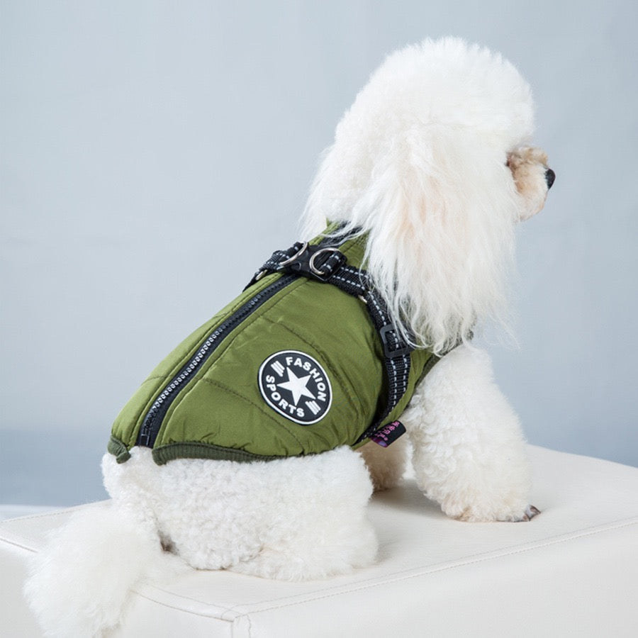 Small white dog wearing a green winter dog coat with high collar