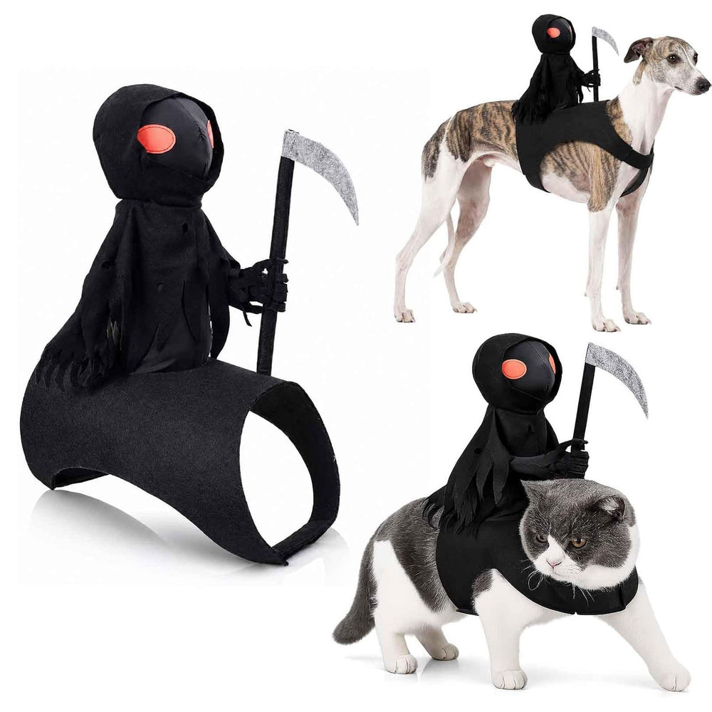 White background collage of Grim Reaper Halloween pet costume, display on dog and cat, bat and pumpkin decorative elements