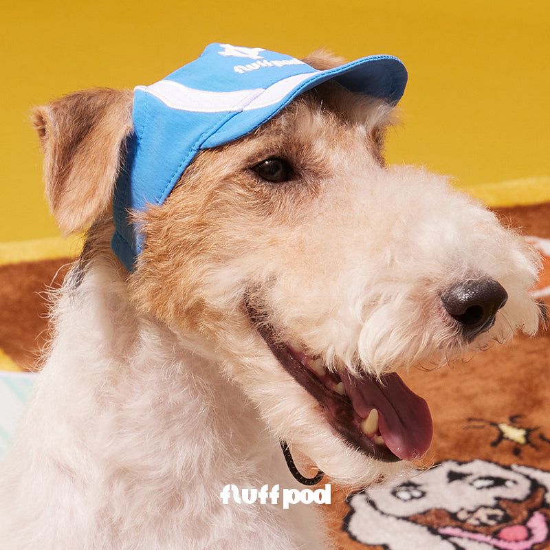 Happy dog wearing glacier blue ear-hole pet baseball cap, sun protection hat for walking hiking beach