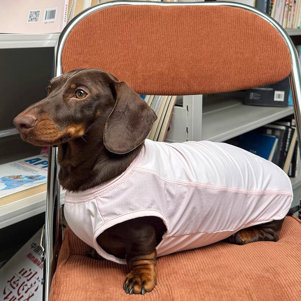 lightweight-pink-dog-cooling-tank-top, Dog in pink lightweight summer cooling dog vest, breathable sleeveless tank top