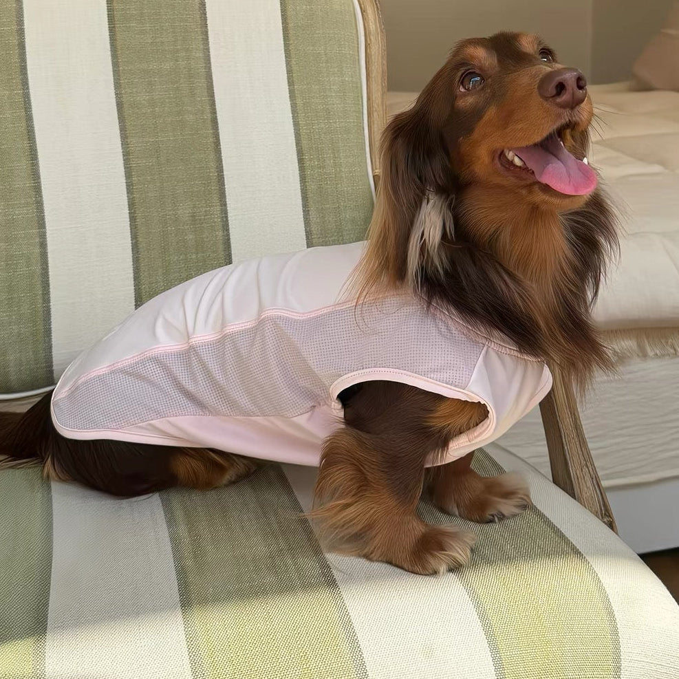 lightweight-pink-dog-cooling-tank-top, Dog in pink lightweight summer cooling dog vest, breathable sleeveless tank top