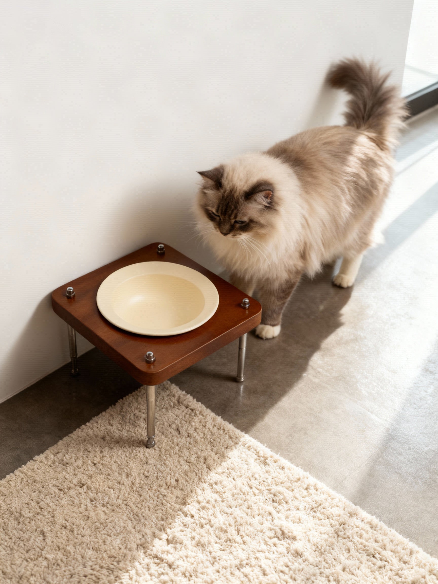 Aesthetic elevated walnut cat food bowl stand with off‑white ceramic plate in bright minimalist room