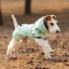 Mint green dog winter coat with built-in harness dog running