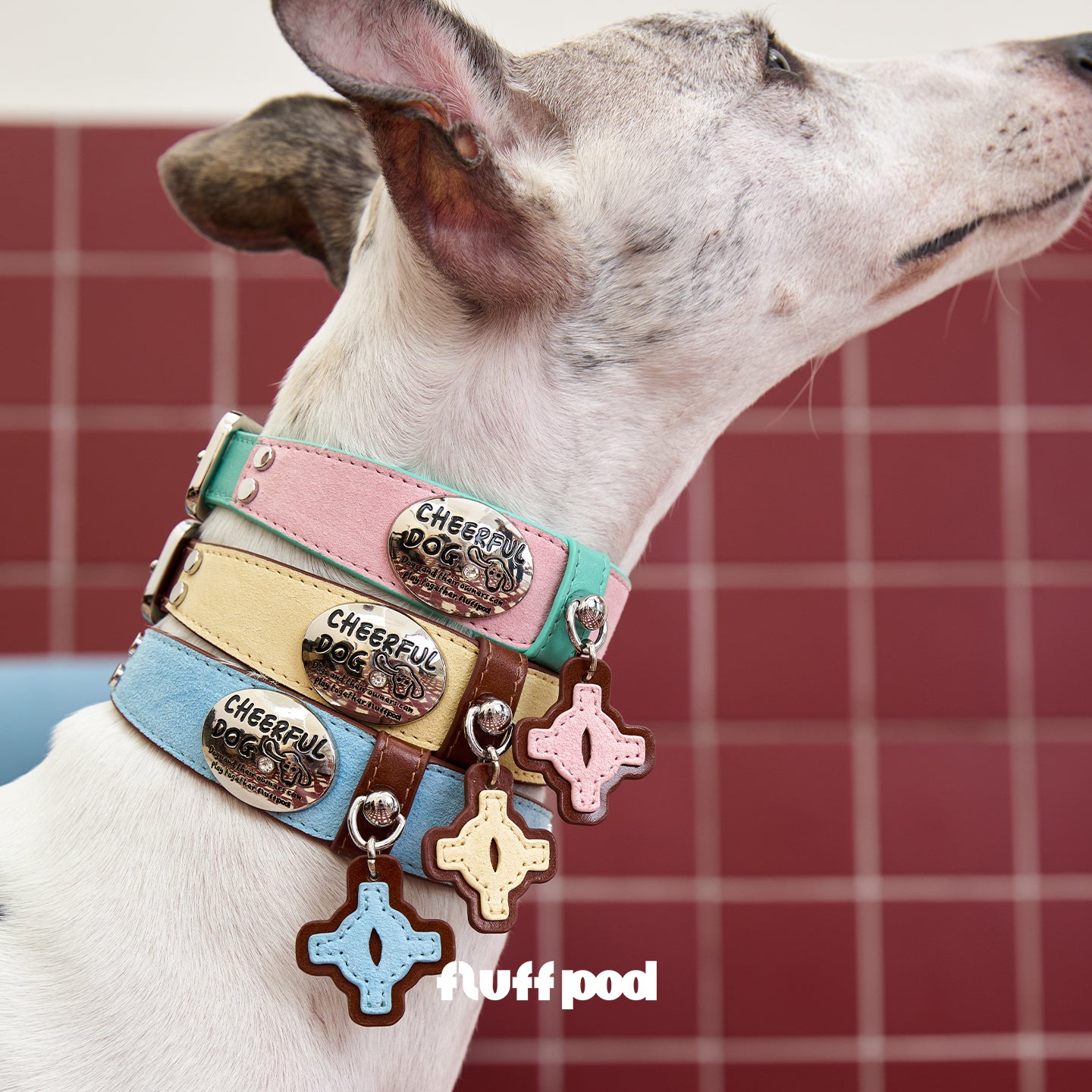 multi-color-leather-dog-collars-stack-on-pet-neck, Four color genuine leather dog collars stacked on pet neck, premium metal hardware and leather cross tags