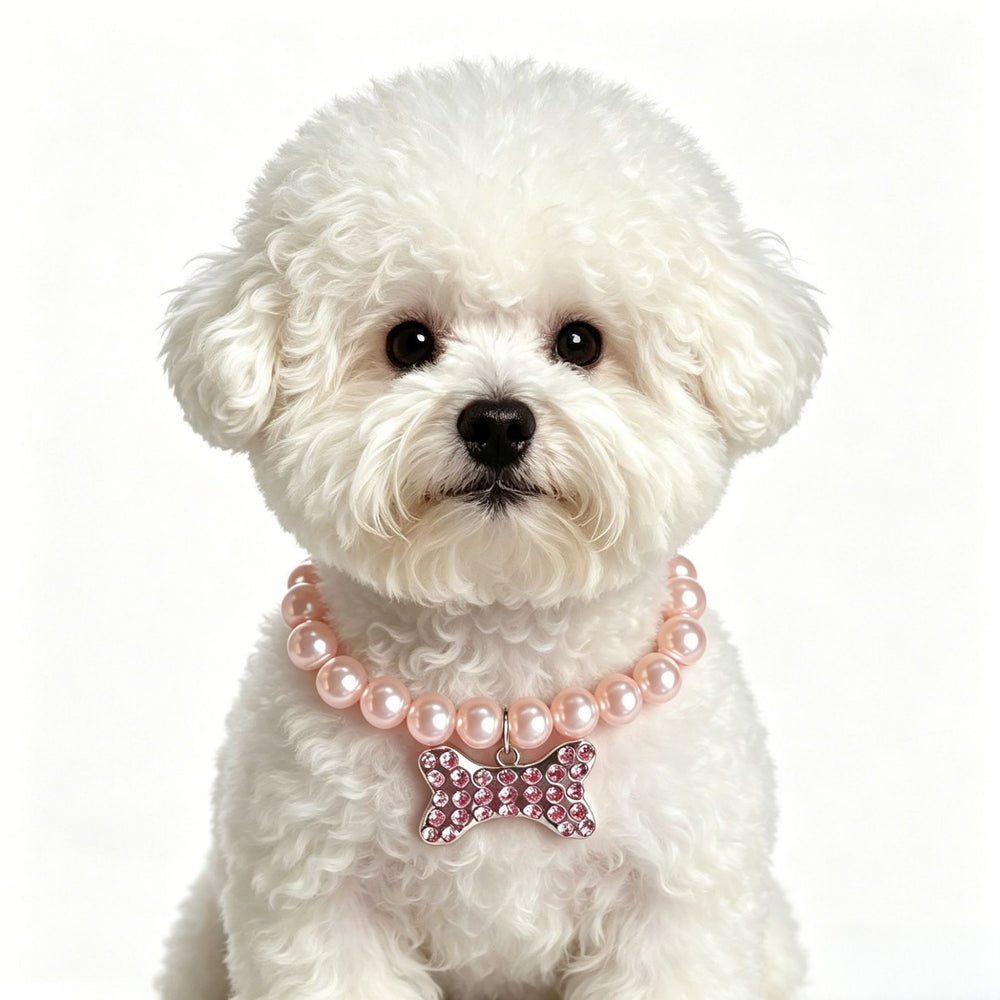 White dog wearing a pearl pet necklace with crystal charm
