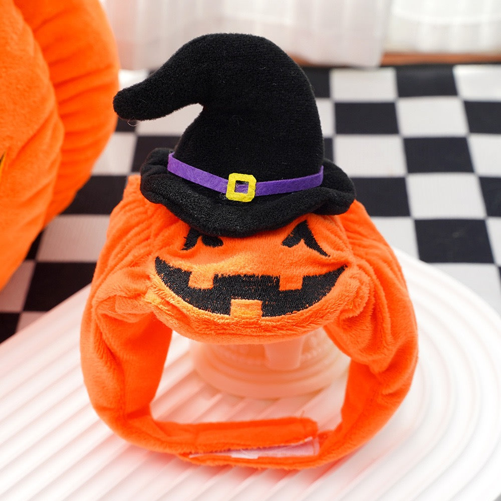 Close-up of pet pumpkin headpiece with witch hat, Halloween dog costume accessory