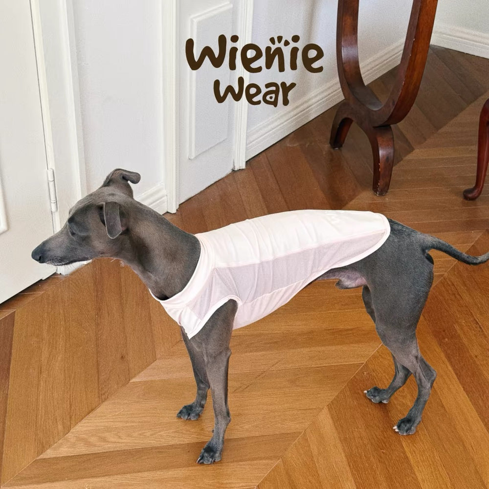 pink-breathable-dog-cooling-vest-summer, Dog wearing pink breathable sleeveless dog cooling vest for hot summer weather