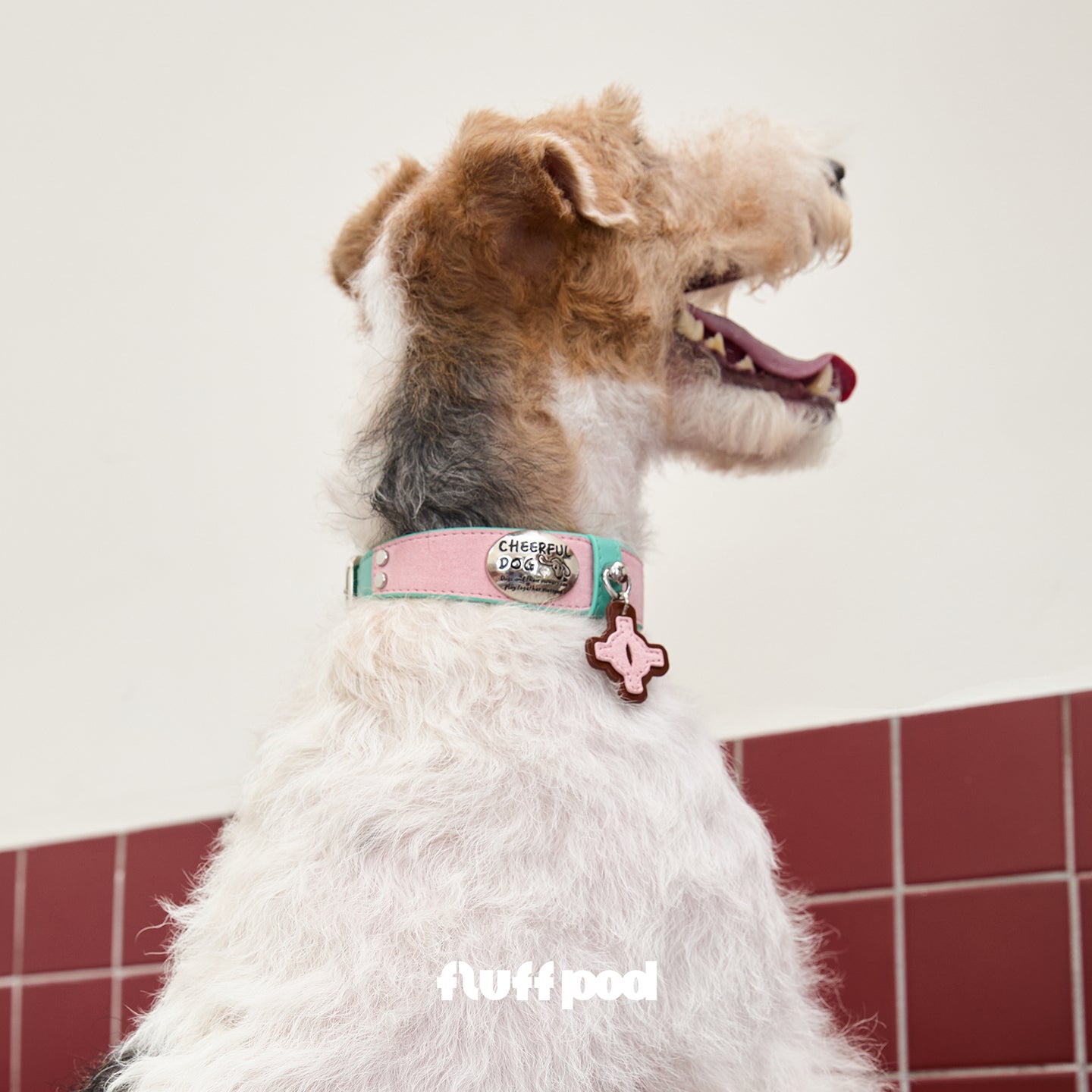 pink-genuine-leather-dog-collar-on-pet-profile, Pet wearing pink genuine leather dog collar, premium metal buckle and cross leather pendant