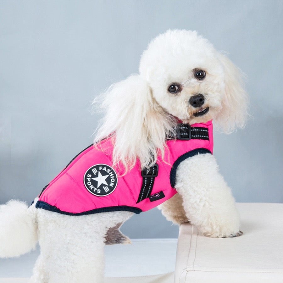 Small white dog wearing a pink winter dog jacket with high collar
