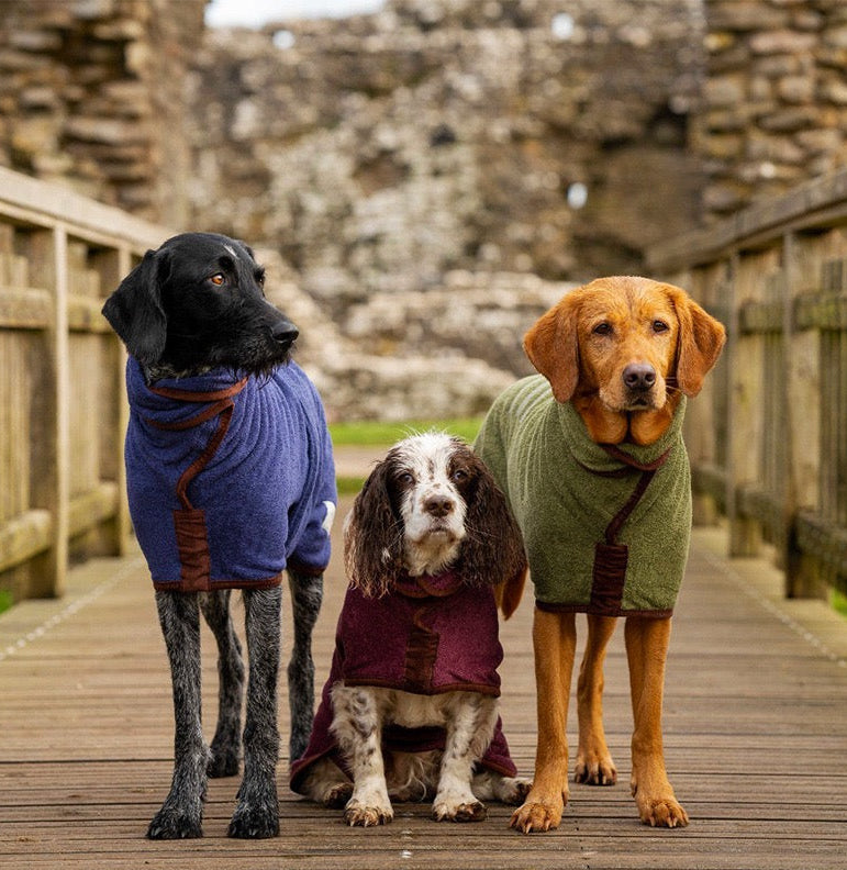 Dog wearing a quick dry bathrobe