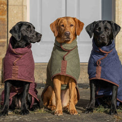 Dogs wearing quick dry bathrobes in multiple colors