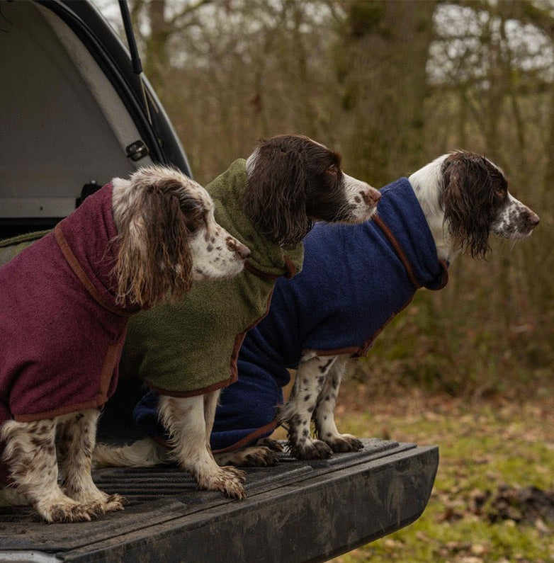 Dogs wearing quick dry bathrobes outdoors
