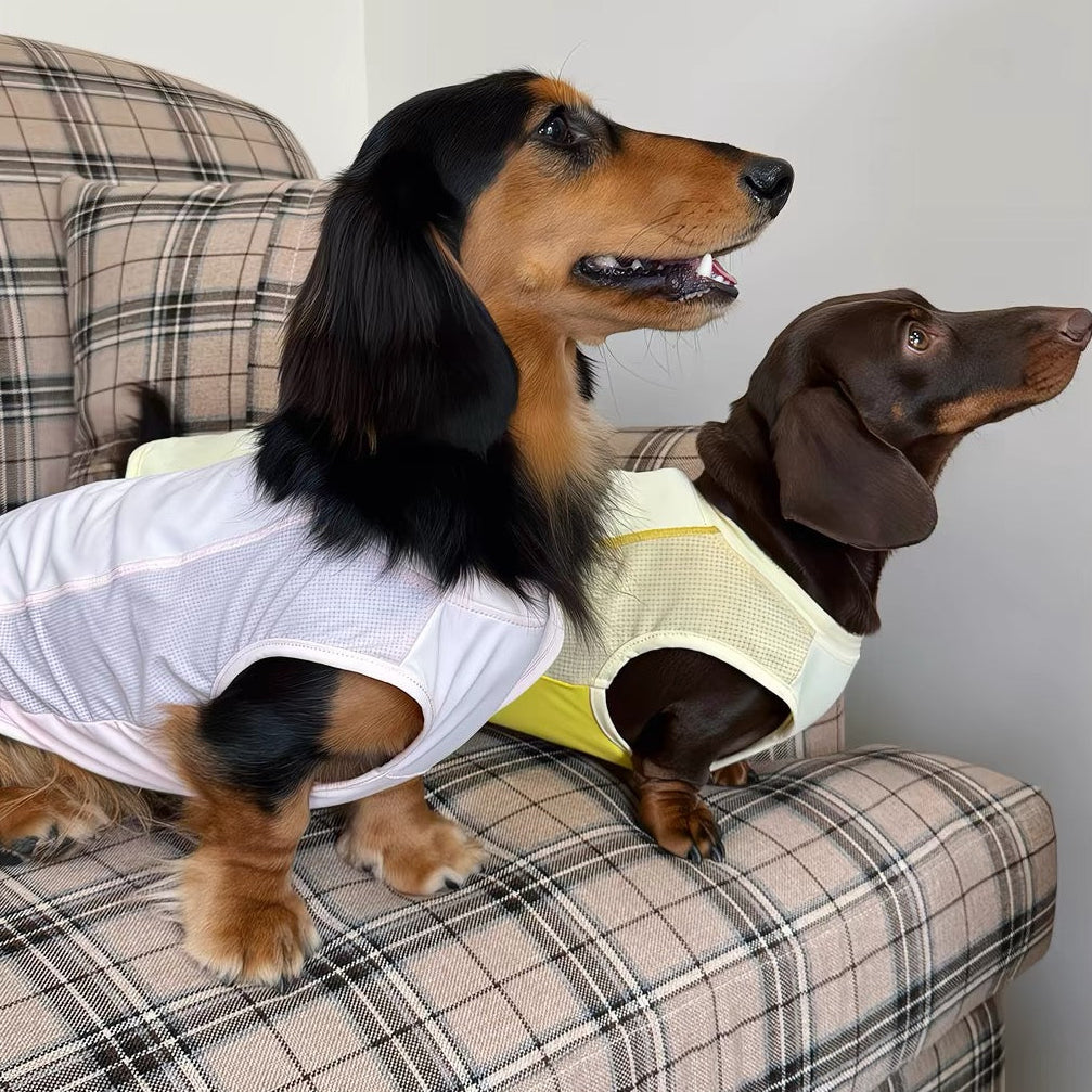 quickdry-dog-cooling-tank-top-two-pets, Two dogs wearing summer quick dry dog cooling tank top, pink and yellow
