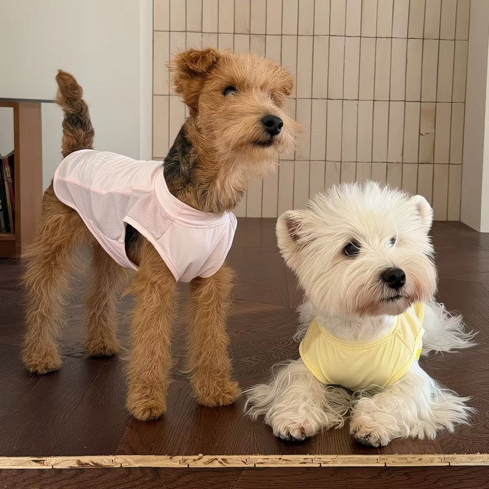 quickdry-dog-cooling-tank-top-two-pets, Two dogs wearing summer quick dry dog cooling tank top, pink and yellow
