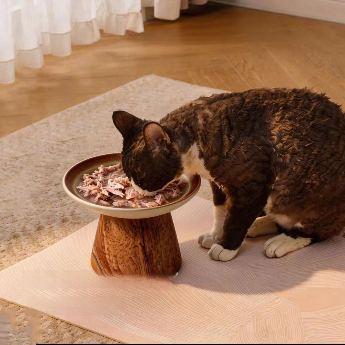 Dark cat eating wet canned food from wide shallow raised ceramic cat bowl