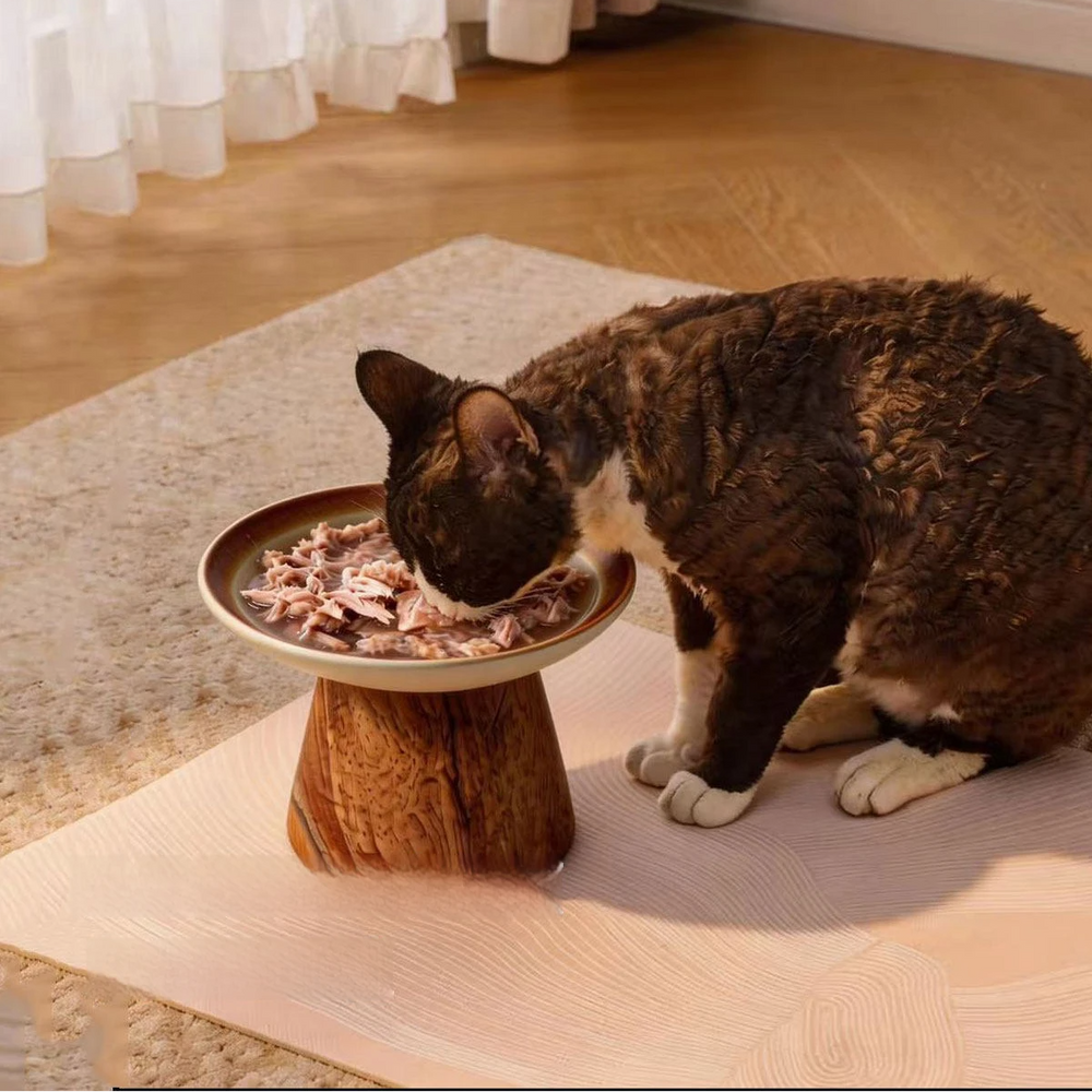 Dark cat eating wet canned food from wide shallow raised ceramic cat bowl