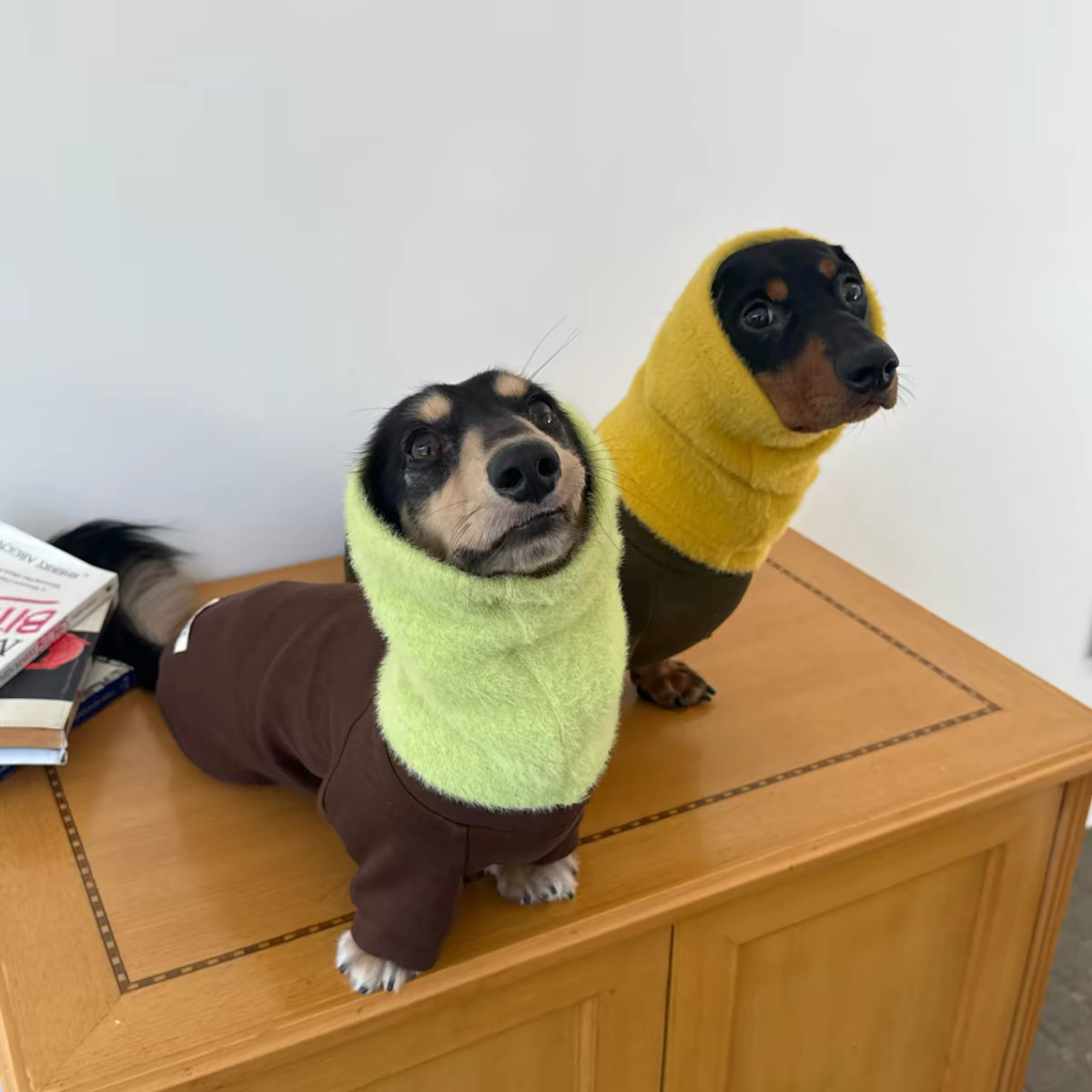 Two dachshund dogs modeling brown and olive fleece jumpsuits with warm neck snoods matching dog winter pajamas