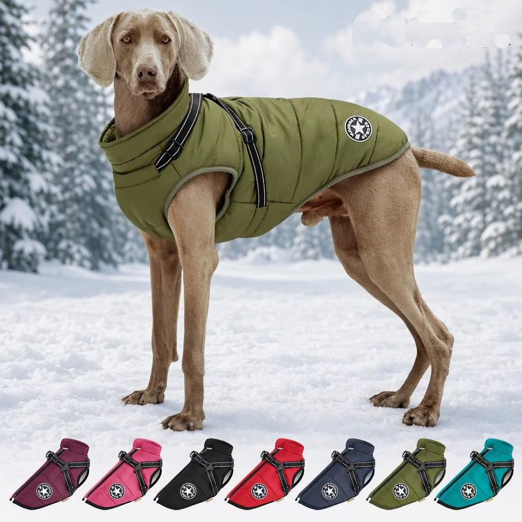 Warm winter dog coat with high collar in green for outdoor walks