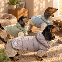 Dogs wearing white duck down vests in pastel blue lavender and sage green