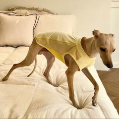 yellow-quickdry-dog-cooling-vest-summer-shirt, Dog wearing yellow quick dry dog cooling vest, summer sun protection sleeveless dog shirt